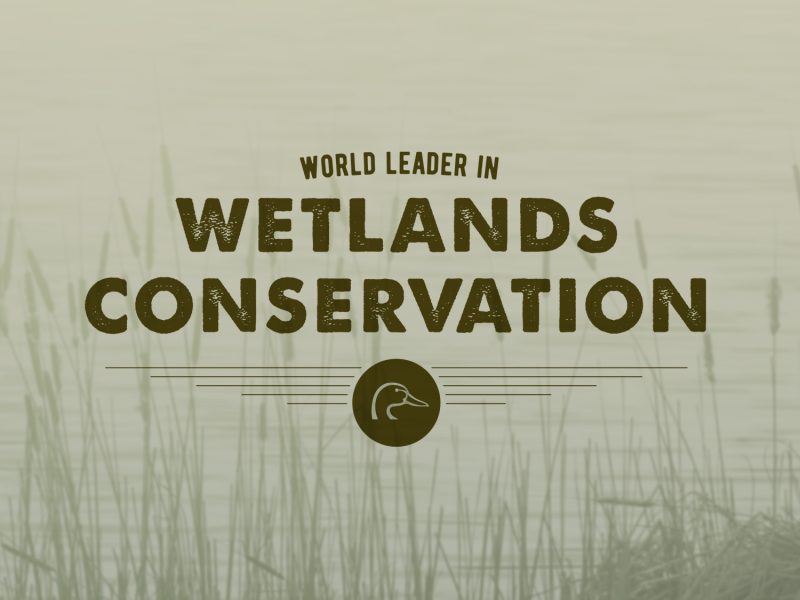 Wetlands Conservation - Ducks Unlimited