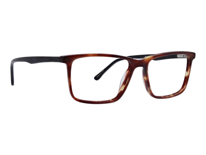 AR_Turner_MATTETORTOISE(MTR)_1