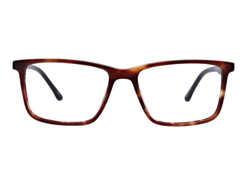 AR_Turner_MATTETORTOISE(MTR)_2